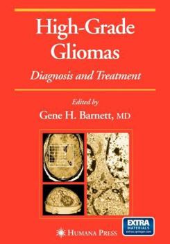 Paperback High-Grade Gliomas: Diagnosis and Treatment Book