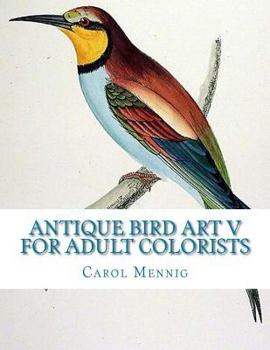 Paperback Antique Bird Art V for Adult Colorists Book