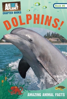 Paperback Dolphins! Book