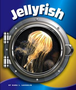 Jellyfish - Book  of the In the Deep Blue Sea