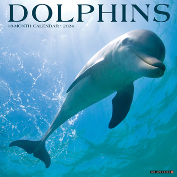 Calendar Dolphins 2024 12 X 12 Wall Calendar Book