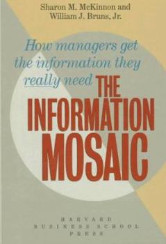 Hardcover The Information Mosaic Book