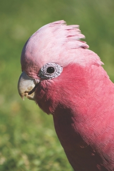 Rosakakadu: Notizbuch / Tagebuch / Reisetagebuch Vogel Galah - DIN A5 120 Seiten punktiert / Punkteraster - Geschenk Papagei (German Edition)