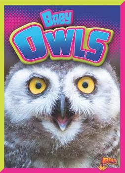Paperback Baby Owls Book