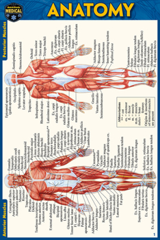 Wall Chart Anatomy Pocket-Sized Reference Guide (4x6 Inches) Book