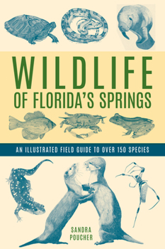 Paperback Wildlife of Florida's Springs: An Illustrated Field Guide to Over 150 Species Book