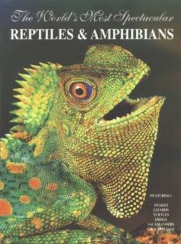 Paperback The World's Most Spectacular Reptiles and Amphinas Book
