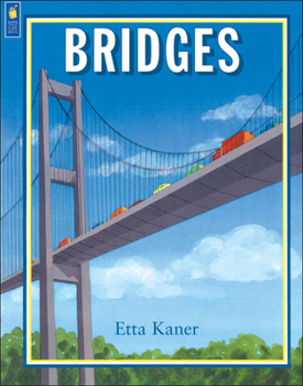 Paperback Bridges Book