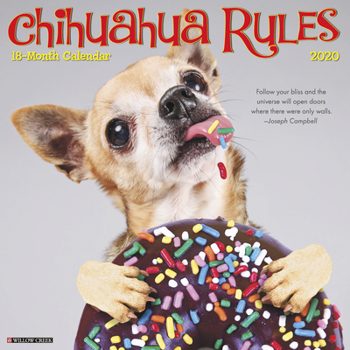 Calendar Chihuahua Rules 2020 Wall Calendar (Dog Breed Calendar) Book