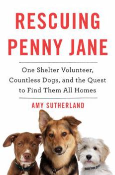 Hardcover Rescuing Penny Jane: One Shelter Volunteer, Countless Dogs, and the Quest to Find Them All Homes Book