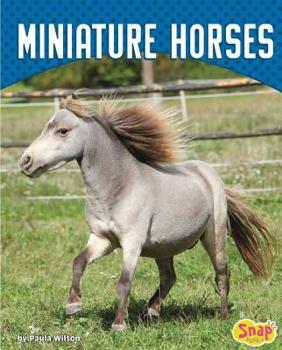 Miniature Horses - Book  of the Cute and Unusual Pets