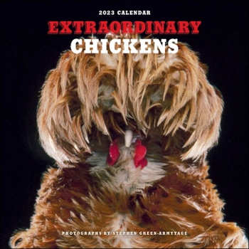 Calendar Extraordinary Chickens 2023 Wall Calendar Book