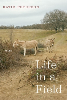 Paperback Life in a Field: Poems Book