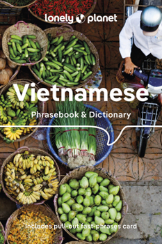 Paperback Lonely Planet Vietnamese Phrasebook & Dictionary Book