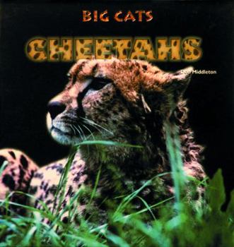 Hardcover Cheetahs Book