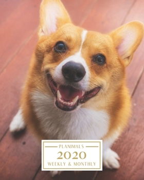 Paperback 2020: Weekly and Monthly Planner/Calendar Jan 2020 - Dec 2020 Cute Corgi Book