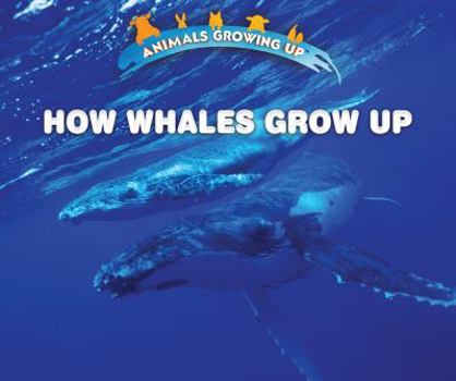 Library Binding How Whales Grow Up Book