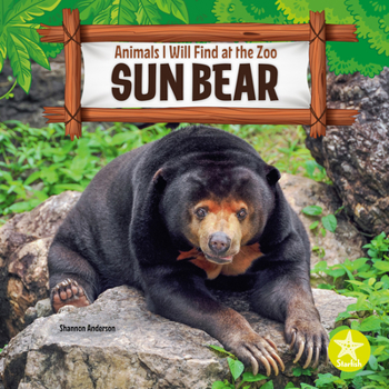 Hardcover Sun Bear Book