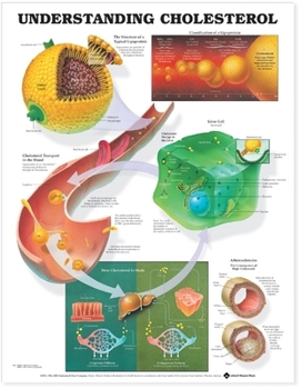 Wall Chart Understanding Cholesterol Anatomical Chart Book