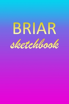 Briar: Sketchbook | Blank Imaginative Sketch Book Paper | Pink Blue Gold Custom Letter B Personalized Cover | Teach & Practice Drawing for Experienced ... Doodle Pad | Create, Imagine & Learn to Draw