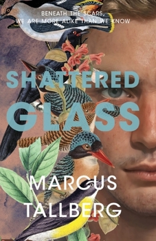 Paperback Shattered Glass Book