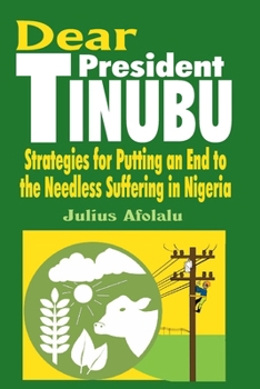 Paperback Dear President Tinubu: Strategies for Putting an End to the Needless Suffering in Nigeria Book
