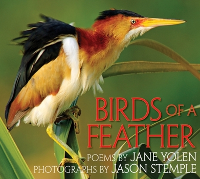 Hardcover Birds of a Feather Book
