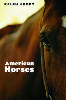 Paperback American Horses Book