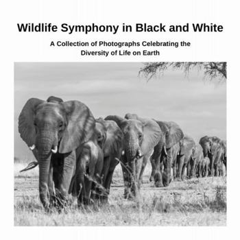 Paperback Wildlife Symphony in Black and White: A Collection of Photographs Celebrating the Diversity of Life on Earth Book