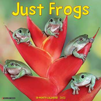 Calendar Just Frogs 2023 Wall Calendar Book