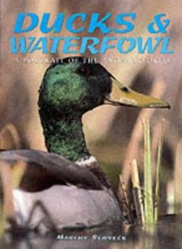 Hardcover Ducks & Waterfowl: A Portrait of the Animal World Book