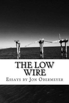 Paperback The Low Wire: Meditations on Loss and Creative Restoration Book