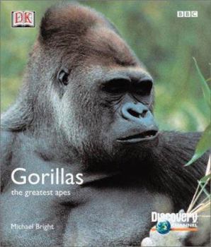 Hardcover Gorillas: The Greatest Apes Book