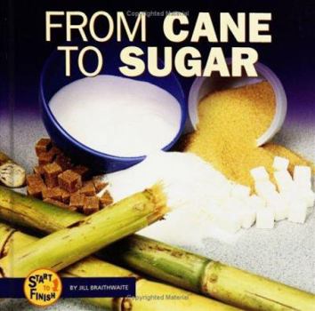 Hardcover From Cane to Sugar Book