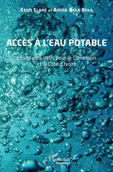 Accès à l'eau potable: Les grands défis pour le Cameroun et la Côte d'Ivoire (Harmattan Cameroun) (French Edition)