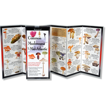 Misc. Common Mushrooms of the Mid-Atlantic Book