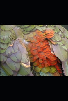 Paperback Collected Poems Volume One 1995-2003 Book