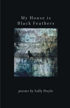 My House Is Black Feathers