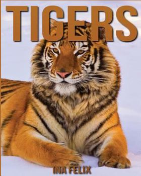 Paperback Tigers: Children Book of Fun Facts & Amazing Photos on Animals in Nature - A Wonderful Tigers Book for Kids aged 3-7 Book