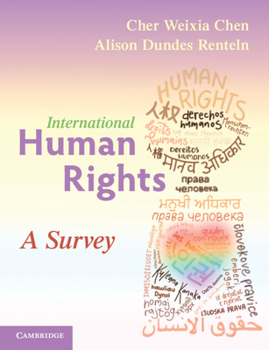 Paperback International Human Rights: A Survey Book