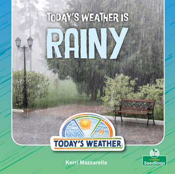 Today's Weather Is Rainy