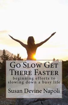 Paperback Go Slow Get There Faster Book