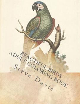 Paperback Beautiful Birds Adult Coloring Book: Stress Relieving Birds Coloring Book for Adults and Kids Book