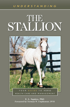 Paperback Understanding the Stallion Book
