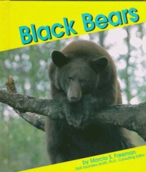 Hardcover Black Bears Book