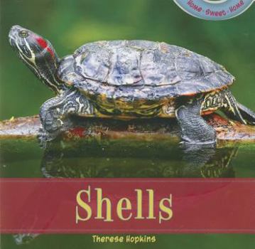 Paperback Shells Book