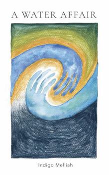 Paperback A Water Affair Book