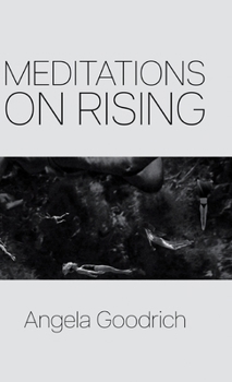 Hardcover Meditations on Rising Book