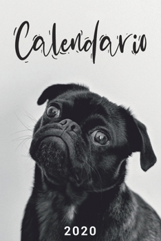 Calendario 2020: Grande Calendario completo para todo el a?o, cada d?a por separado, planificador mensual y diario, cuaderno, gracioso