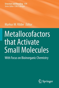 Metallocofactors That Activate Small Molecules : With Focus on Bioinorganic Chemistry